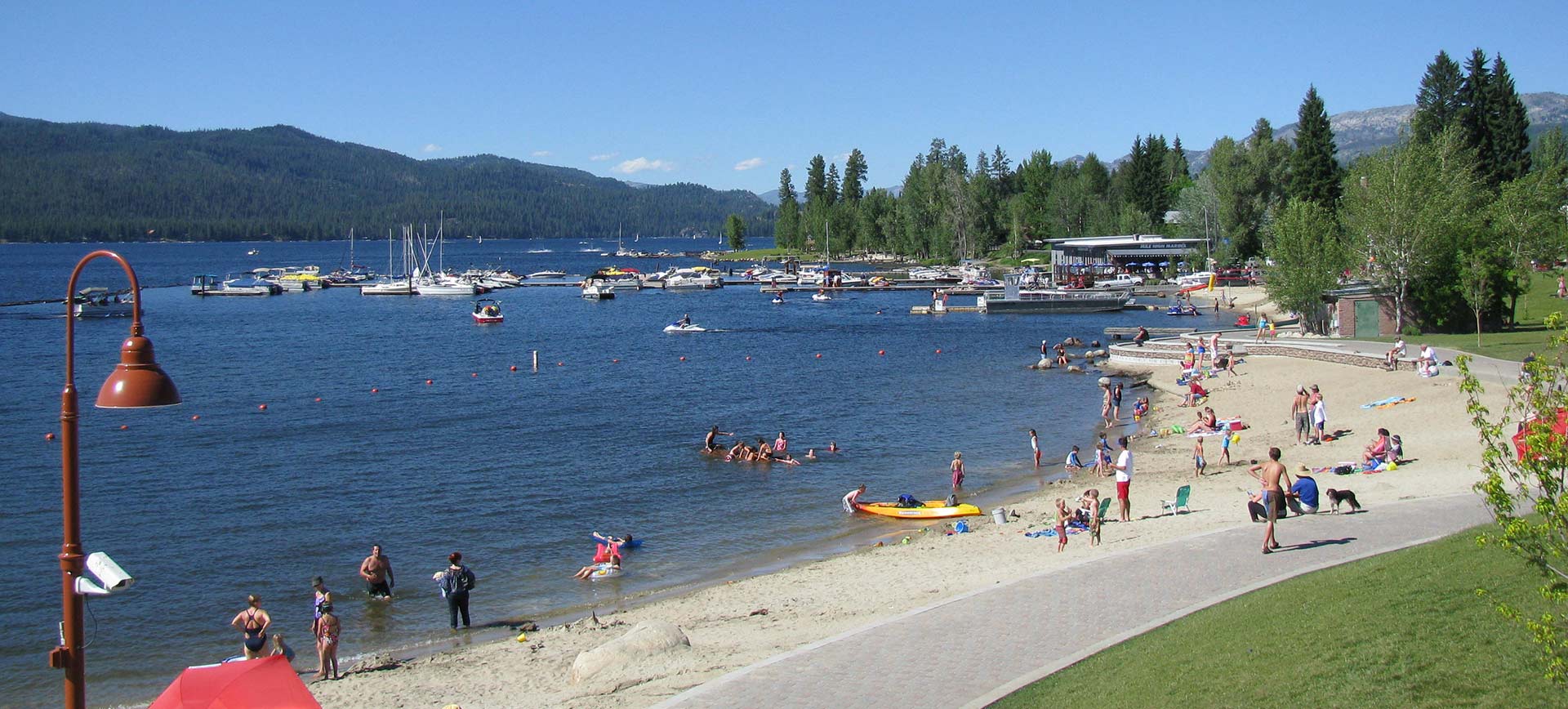 Frolic in our backyard